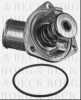 GM 1338069 Thermostat, coolant